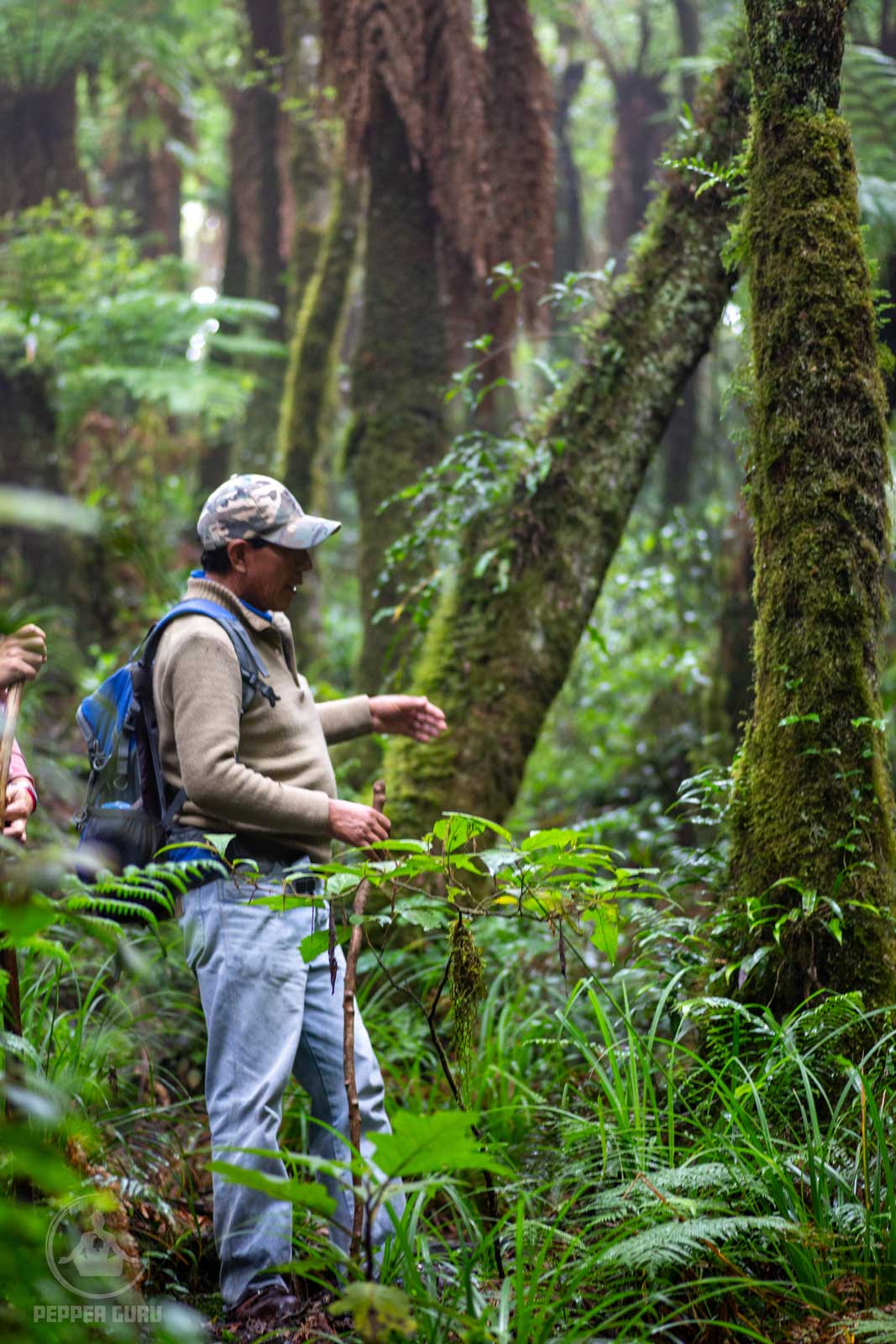 Local guide in Samaipata, Bolivia educating hikers about plants. 