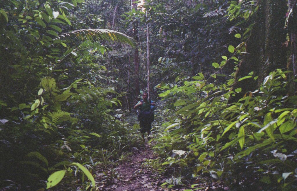 Trekking in the jungle 25km south of Iquitos, Peru. Hunting down a shaman. 