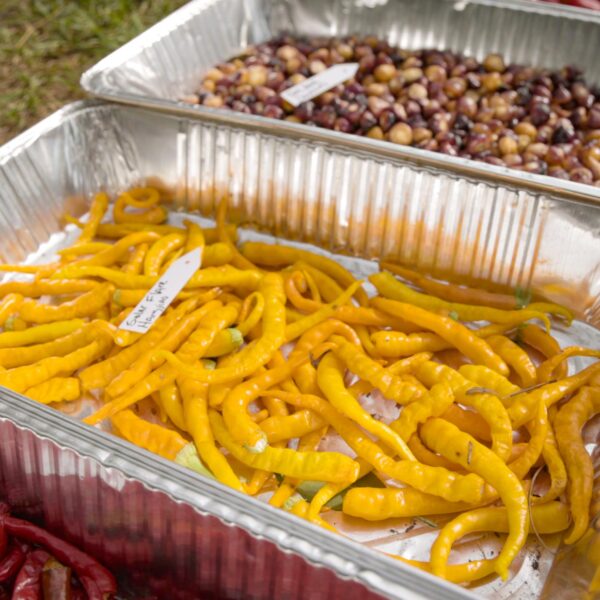 Solar Flare Pepper Seeds – golden yellow peppers in metal pan