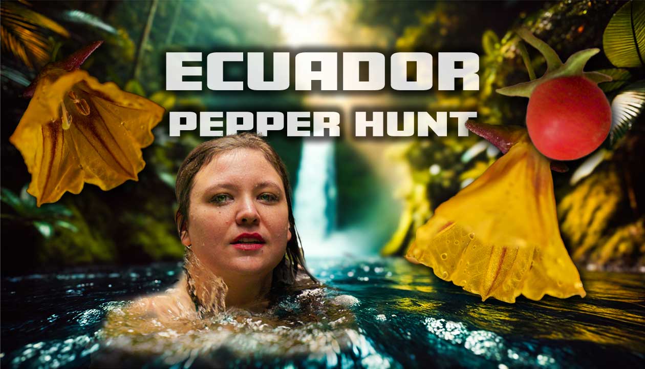 Finding Peppers and Rekindled Love In Ecuador