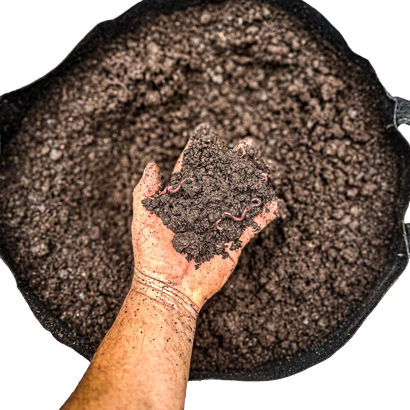 Pepper-Guru-Compost