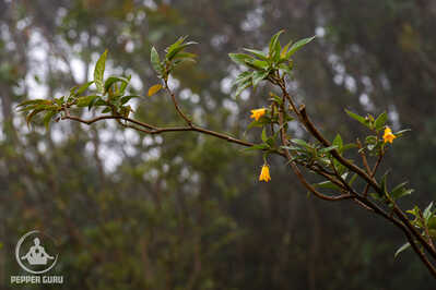 IMG 5580 IMG 5580