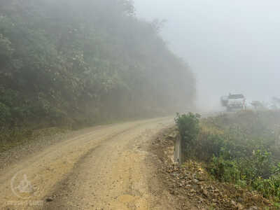 IMG 5596 IMG 5596