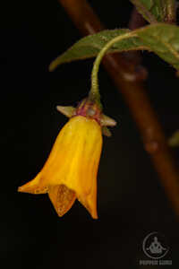 IMG 5589 IMG 5589