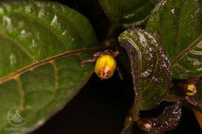 IMG 5600 IMG 5600